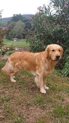 Usko De La Tribu De Cookenjab