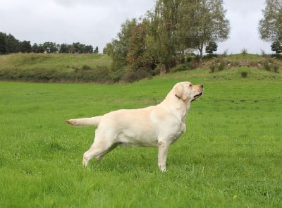 Némo special secret