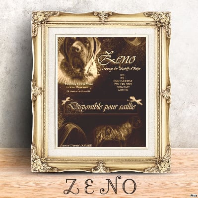 Zeno denfer korosdombi