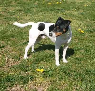 O'happy du creux du nant