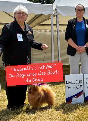 Valentin voila c'est moi du royaume des bouts de chou