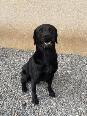 Salto des hauts de campardon des hauts de campardon