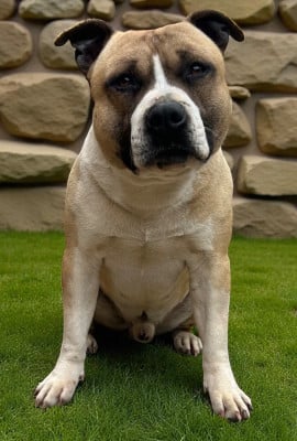 Roster (Sans Affixe)