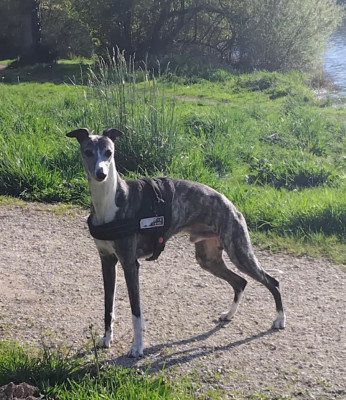 Nonabsolute not agree de l eden d isawan de l?eden d?isawan