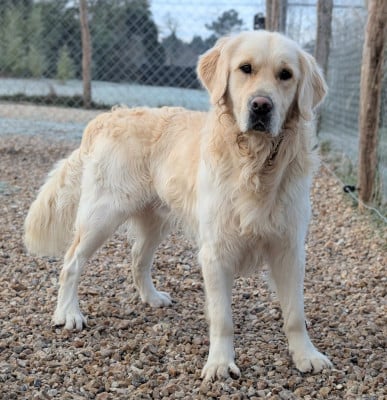 Vaïnaho Elixir d'Aydoilles