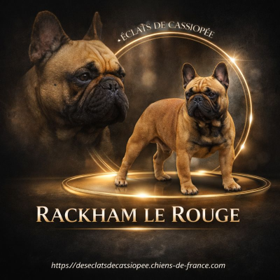 Rackham le rouge Des ?clats De Cassiop?e