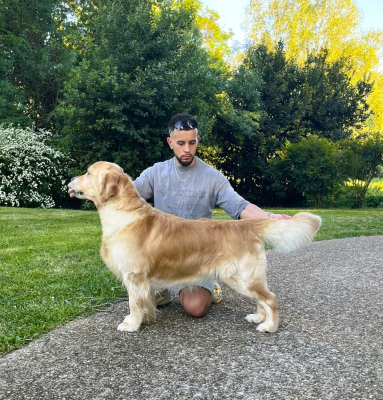 olvinglay Hogwarts mystery