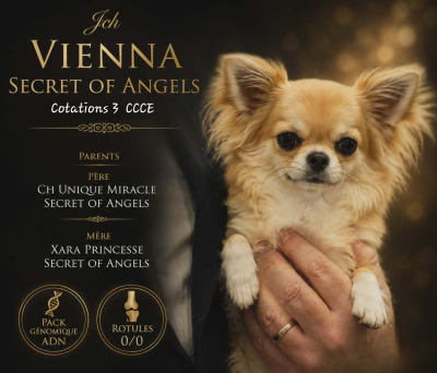 https://chiens-de-france.com/photo/chiens/2025_10/tn200/TN200_202605282158326a189e68cb9aa.png