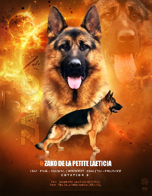 U'zako de la Petite Laeticia