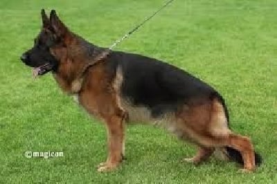 Unam de la Petite Laeticia