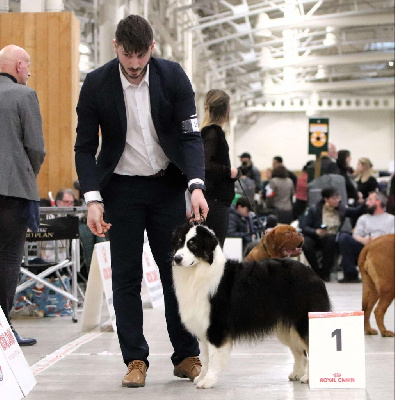 Victory collins cocktail des Terres De Khairyaca