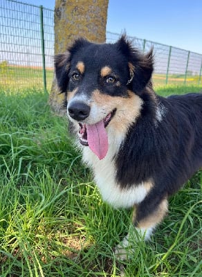 Venom des Glaciers de Cristal