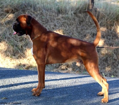 CH. Sorbonne des Jardins de Passiflore