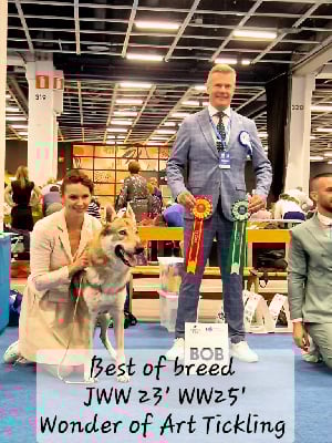 CH. Wonder of Art Tickling