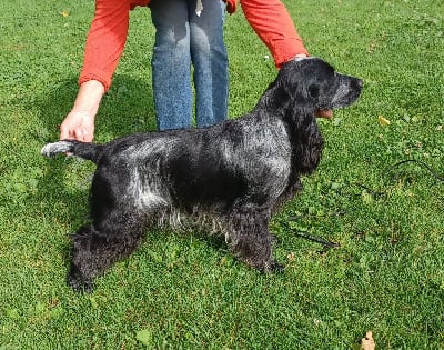 Vox du Tertre de la Pommeraie