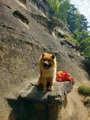 U'sky sav'up De Jereylle