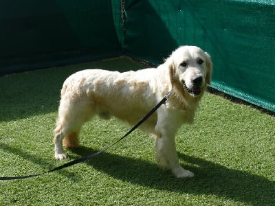 Titouan (Sans Affixe)