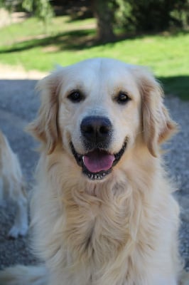 Saïko des  jardins d'epona