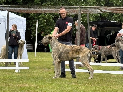 Vortex Du grand chien de culann