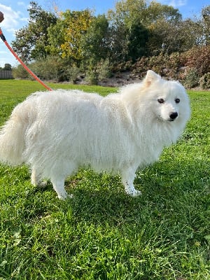 Des Douceurs De Margot Uka