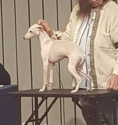 Vox Deï de La Ribière des Brumes De La Ribi?re Des Brumes