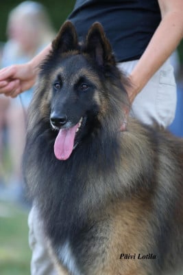 Therefore I am du Bray Bocage