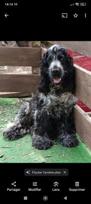 unsung hero Du Clos De Jollieton