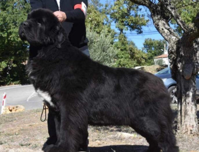 ONE OF LEGENDS DE L'ILLIADE DE L'ODYSSEE De l'illiade et l'odyssee