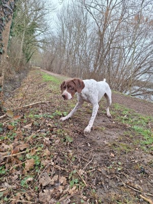 SAM du vallon de Beaudini