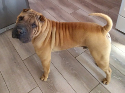 Promisdemainjarretedeboire du Bouquet d'Epices