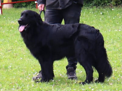 Tango les grappillons du ventoux
