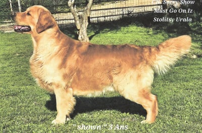 CH. sorry show must go iz stolitsy urala sorry show must