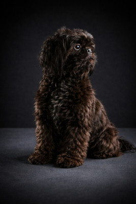 Saucisson de chalumelle