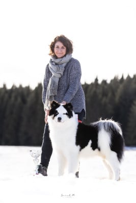 andkoll Ir Lel Smaile of the Sun