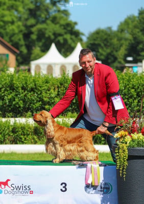 CH. Elen's Klondaik Hitmaker for von Roohan