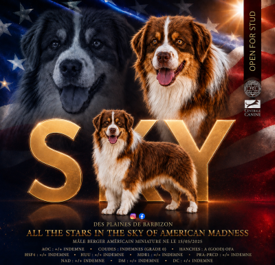 All the stars in the sky of Of American Madness