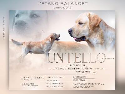 CH. Untello De L'Etang Balancet