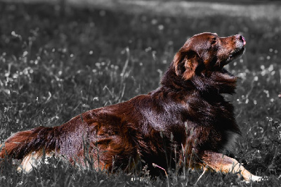 Nawan padawan (Sans Affixe)