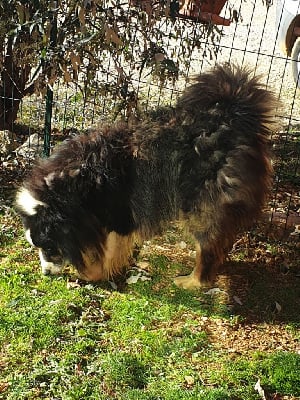 River tenessee lilo au fil de l eau