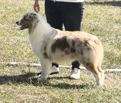 Victorius willy Of Black Pearl Spirit