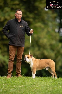 Truman de la F?erie de l'Hermine