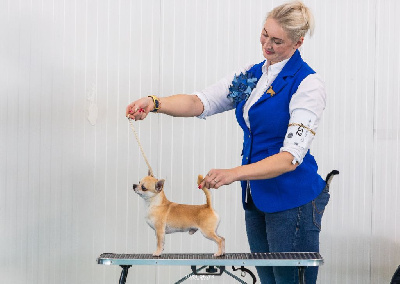 Stairway to heaven at lookum