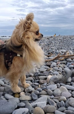 Ulkkk Des Cont?s De Provence