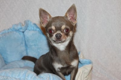 Valio Des Pattounes Douces