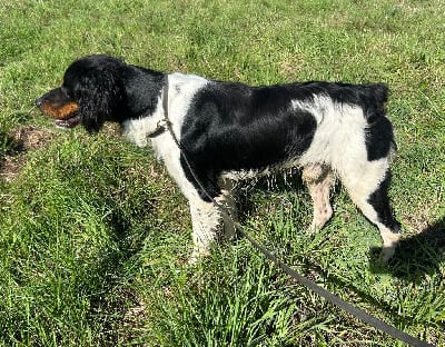 Vicomte des hautes pousterles