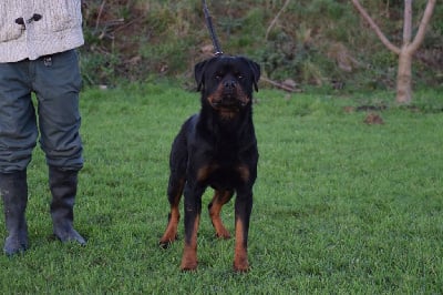 Tango Des Princes De La Ville