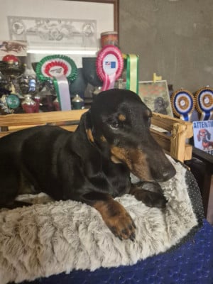 UPIO du Mistral Le Vent