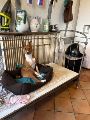 Varape du domaine d emavina varape du domaine d emavina   schmitt emeline