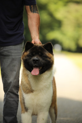 UGAN Des Gardiens De L'arche De No?