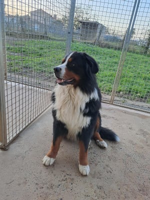 Salto Des Rois De Zaly